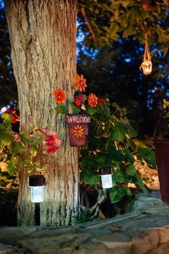  Dimitra Apartments in Kandia