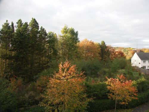 A szálláshely kívülről, Tweed Apartment in Tweedbank