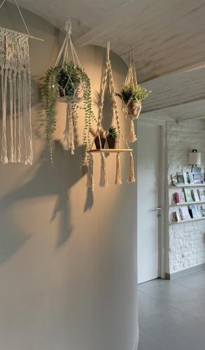 B&B PassaDia - image 3