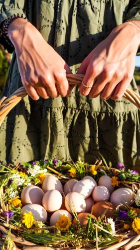 Nature Forest - Herdade de Martingil
