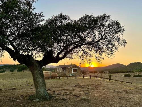 Casa Rural de Ensueño en Parque Natural de Despeñaperros