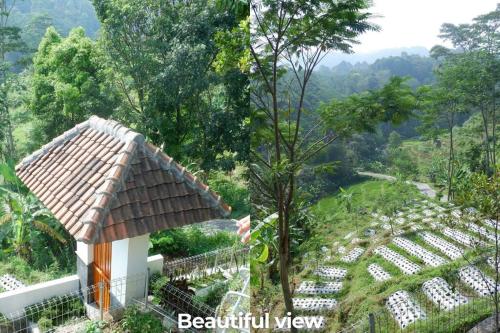 Nearby attraction, Omah Pinaringan in Tohkuning