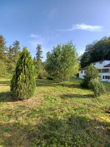 Logement dans un cadre apaisant à Moussey dans les Vosges