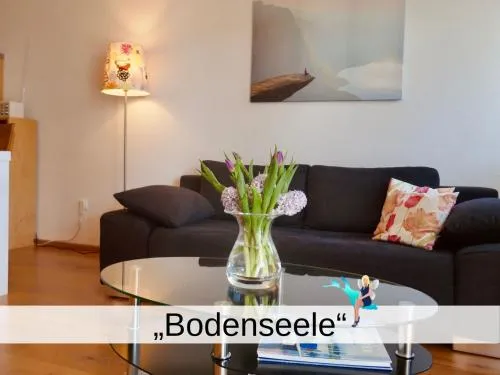 Ferienwohnung Bodenseele - Wohlfühloase mit großem Sonnenbalkon in Langenargen, Deutschland