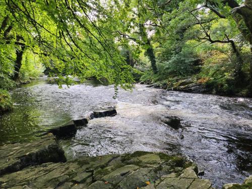 Dartmoor Lodge Hotel - image 5