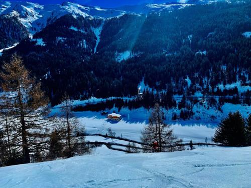 Nedererhof - Zimmer Alpenrose mit Gemeinschaftsküche