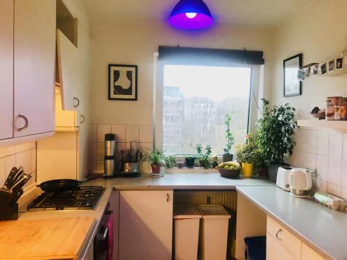 Facilities, Alt Treptow Fashion HQ in Treptow