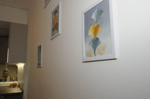 King-size bed, Free parking, kitchenette, wifi apartments, Skopje (fotografie 6)