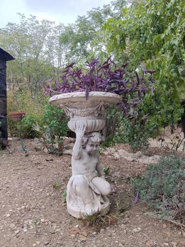 Casa rural en el campo con animales, piscina y barbacoa