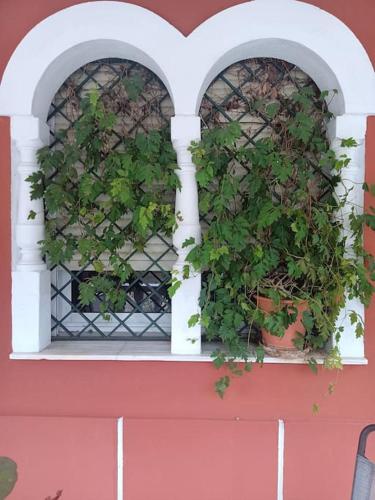 Casa rural en el campo con animales, piscina y barbacoa