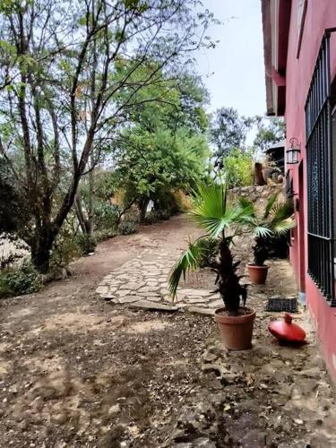 Casa rural en el campo con animales, piscina y barbacoa