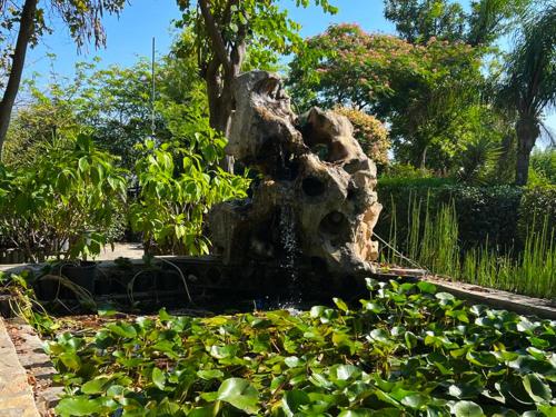 Babil Bahceleri - Gardens of Babel Babil Bahceleri - Gardens of Babel