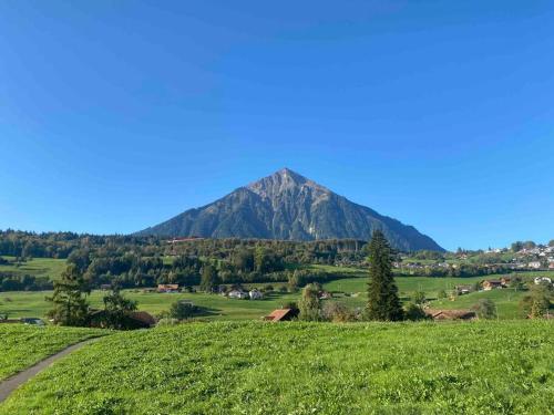  See und Berge Garden in Faulensee