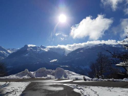 Wohnung Rheintal im Alpenvorland