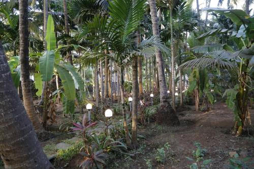Seaswan resort - image 4