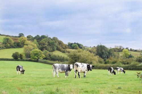 Nr Bicester Village 5 Star Luxury on farm in Boarstall