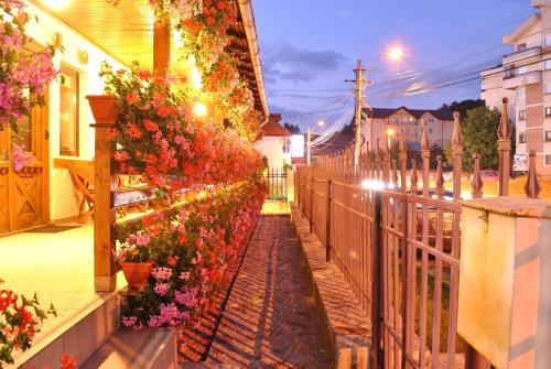 Vistas, Pensiunea Ruxi in Curtea De Arges