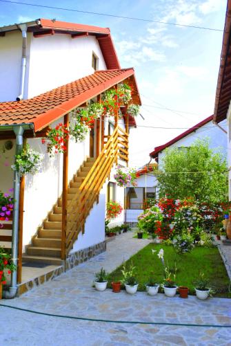 Vistas, Pensiunea Ruxi in Curtea De Arges