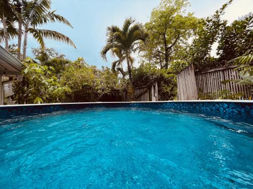 Coconut Grove Home POOL Close to Beaches, Restaurants and Bars