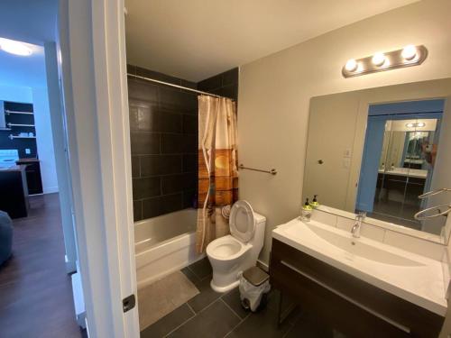 Brand New 1 Br 1 Bath Close To All Walkable - image 5