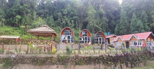 New bloom homestay