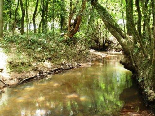 Sports un aktivitātes, Instituto Bugio Ruivo in Eldorado Do Sul