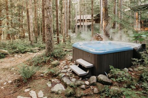 40GS – WiFi - WithD – Hot Tub - Sleeps 8 cabin