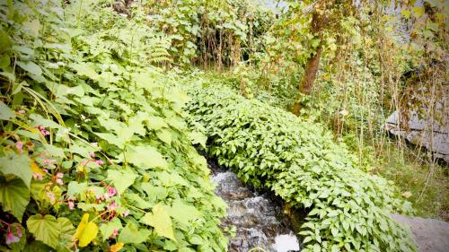 Nature's View Homestay, Travellers