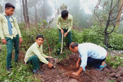 7 Pines Kasauli