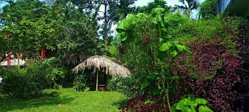 Kaziranga Abode.