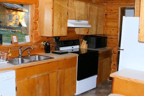 virtuve, Bear Den Vacation Home in Enhorpointa (AK)