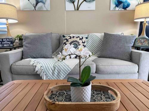 2-Units 1 Price Group Bundle Luquillo Beach House Guest Most loved home - image 10