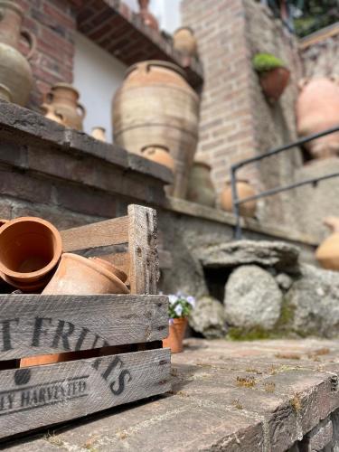 Romantik Hotel U Raka - image 11