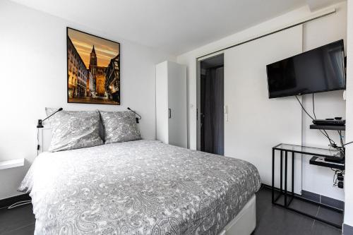 Résidence le premium, hyper centre, studio tout équipé, Strasbourg (photo 9)