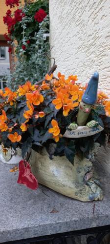 Pension Füg - image 3