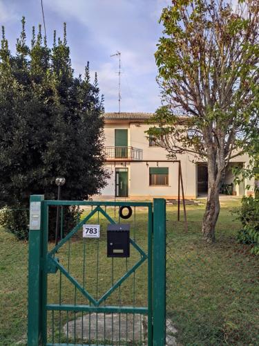 Le ballerine in Badia Polesine