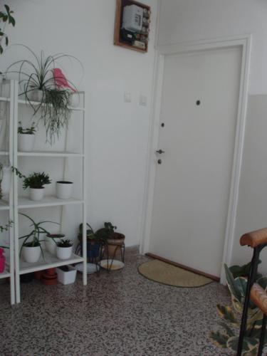  Apartment Lavanda, Pension in Zadar