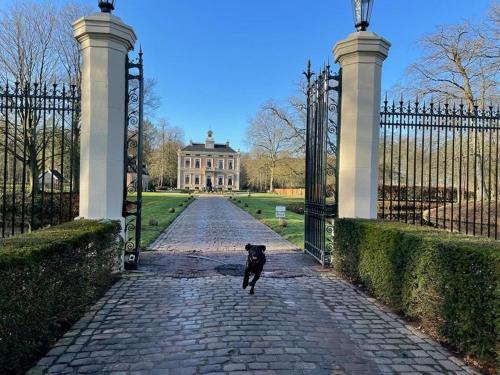  Havezate Den Alerdinck in Laag Zuthem