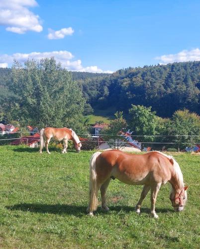 Bergfeldhof