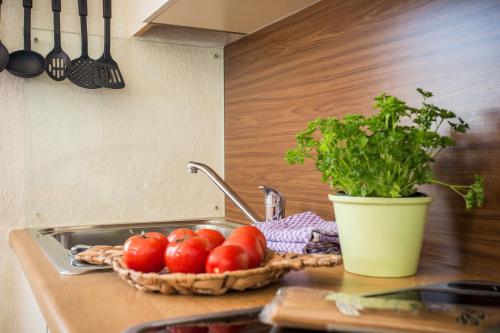 บริการและสิ่งอำนวยความสะดวก, Gastehaus Herb in รอสส์เฮาพ์เทิน