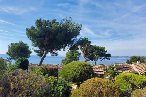 Spacious house with pool close to the sea - Location saisonnière - Saint-Raphaël