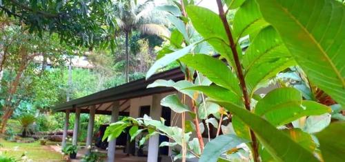 Green Agua Lodge