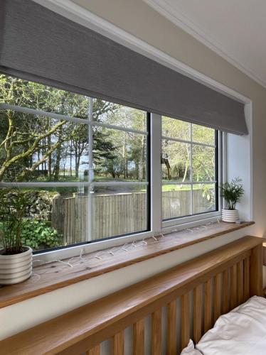 Wrens Nest – Newton Stewart