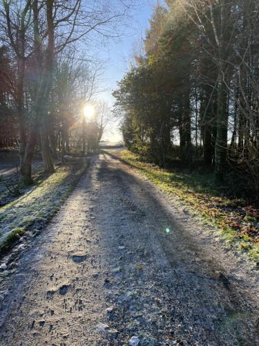 Wrens Nest – Newton Stewart