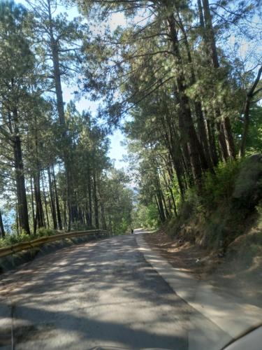 Galaxy apartments , Galaxy hotel in Murree