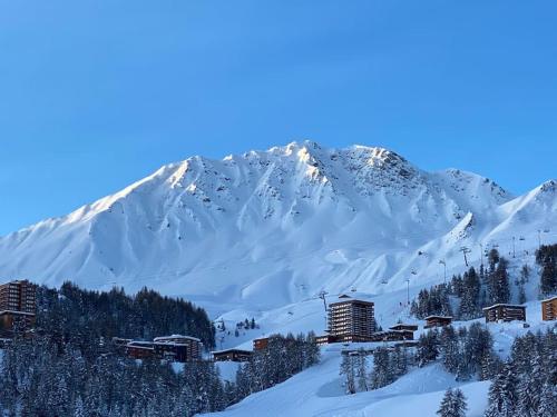 La plagne 1800 magnifique duplex rénové 8 pers