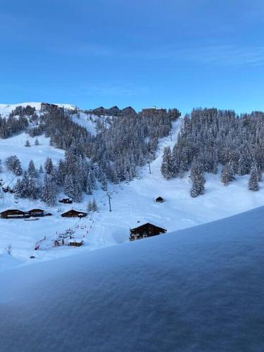 La plagne 1800 magnifique duplex rénové 8 pers