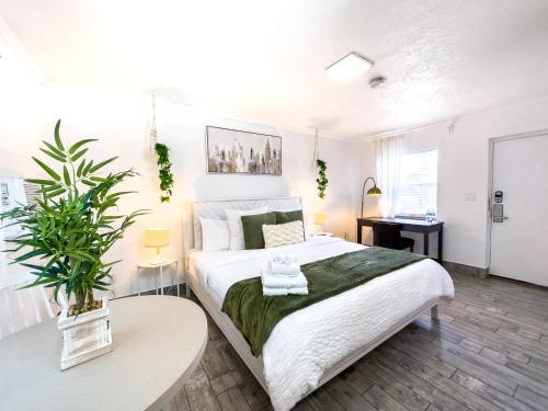 1k Bed Studio Apt With Shared Pool 02 in Clearwater, USA