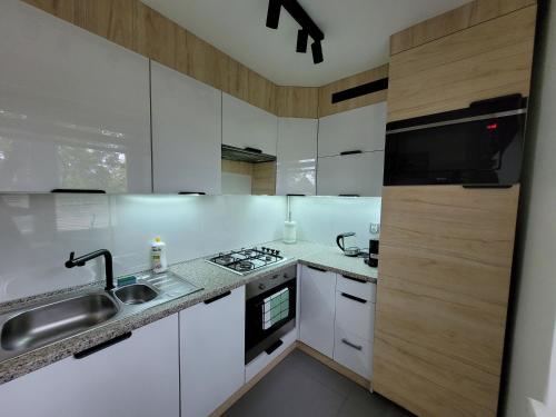 кухня, Apartament Zabrze Grzybowska in Забже