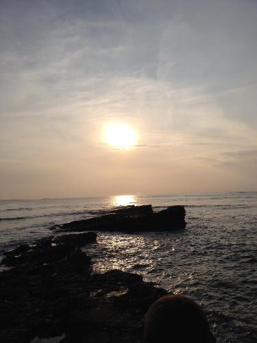 Coast Lodge - image 10